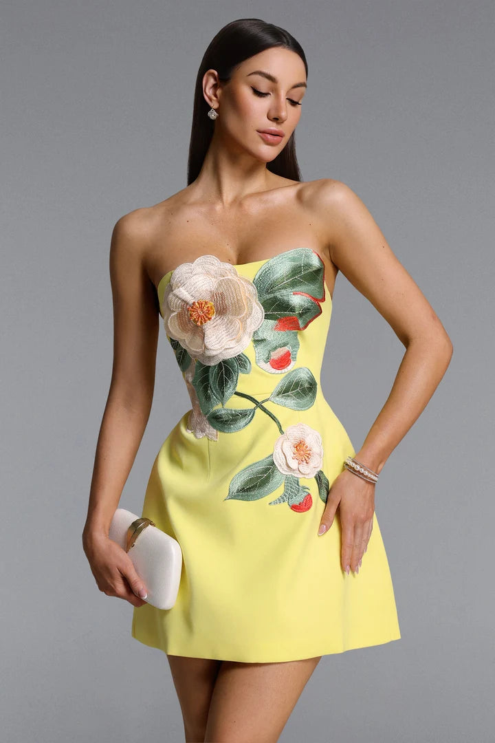 Darla Floral Embroidered Mini Dress
