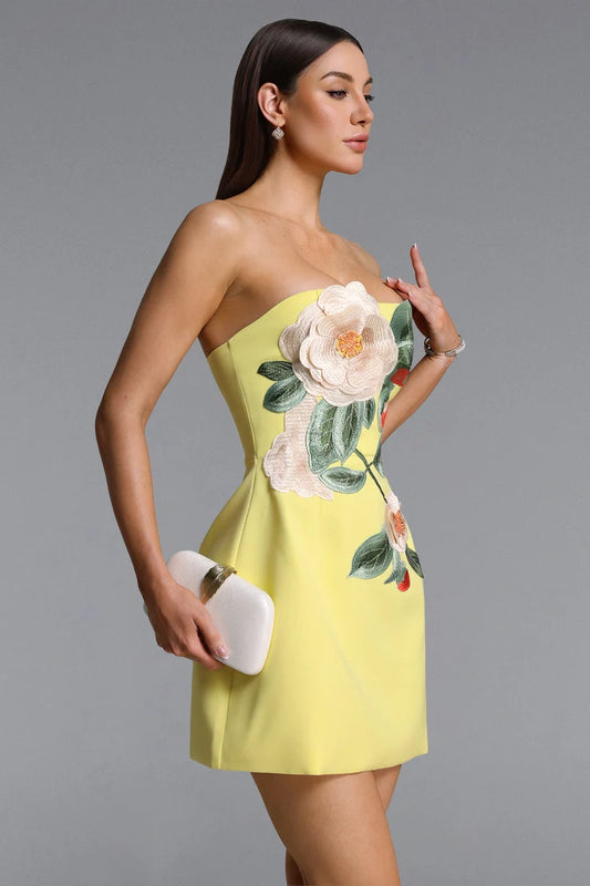 Darla Floral Embroidered Mini Dress